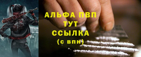 индика Беломорск