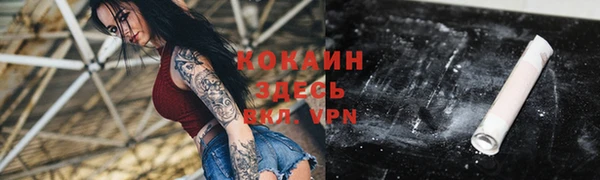 a pvp Белокуриха