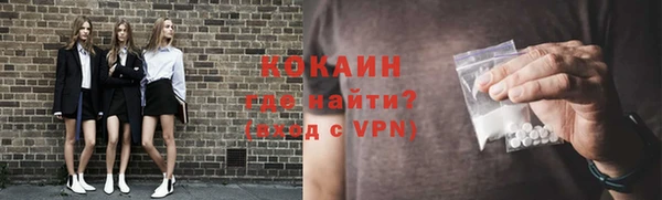 индика Беломорск