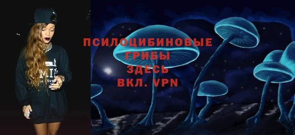 a pvp Белокуриха