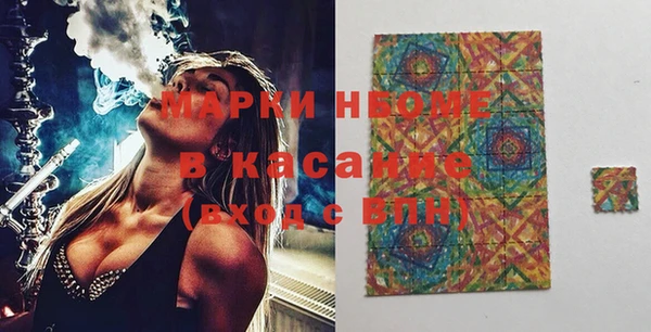 индика Беломорск