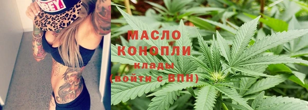 индика Беломорск