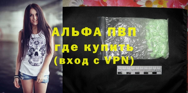 индика Беломорск