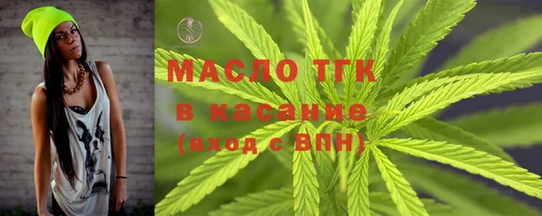 индика Беломорск