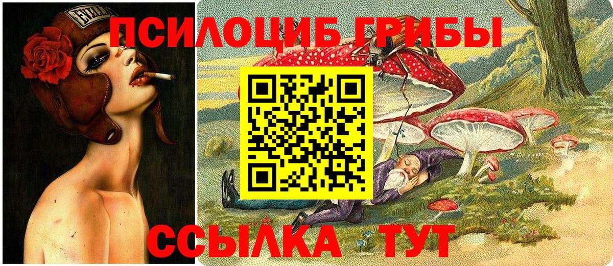 Галлюциногенные грибы мицелий Калуга